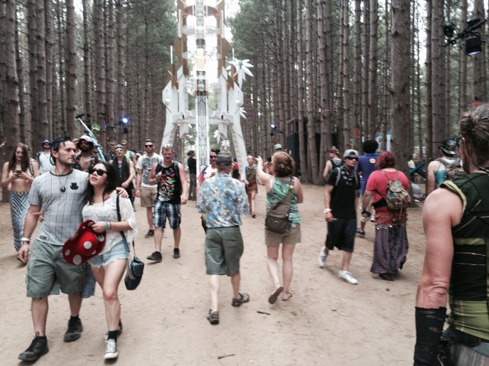 Electric Forest an event for the young…and the not-so young