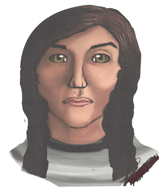 Police release sketch of Ferry Township assailant.