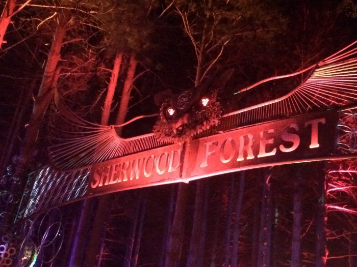 Sherwood Forest – The heart of Electric Forest.