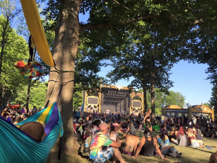 At least 50,000 attended festival; 29 felony drug charges.