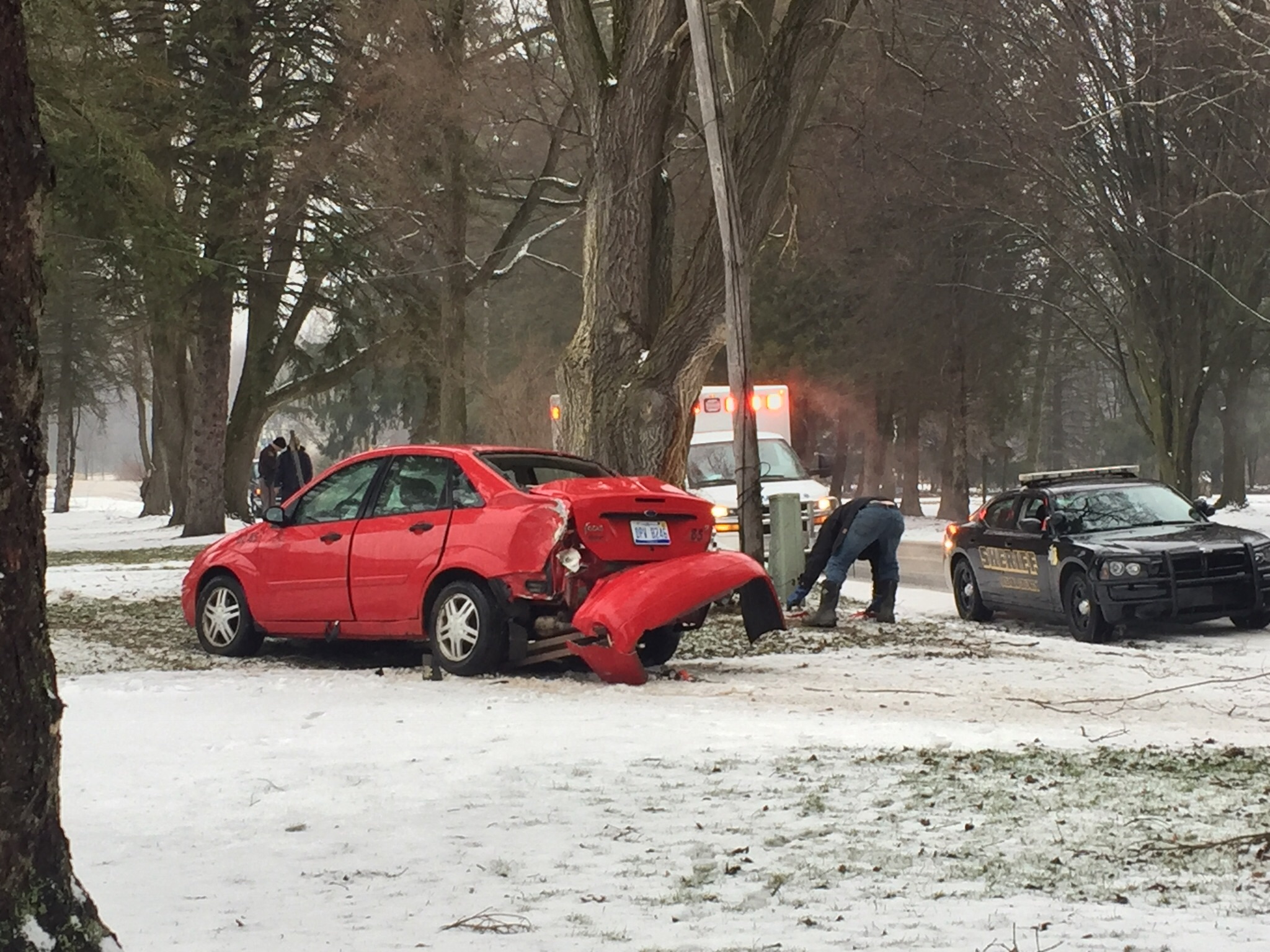 Car crashes into telephone pole.