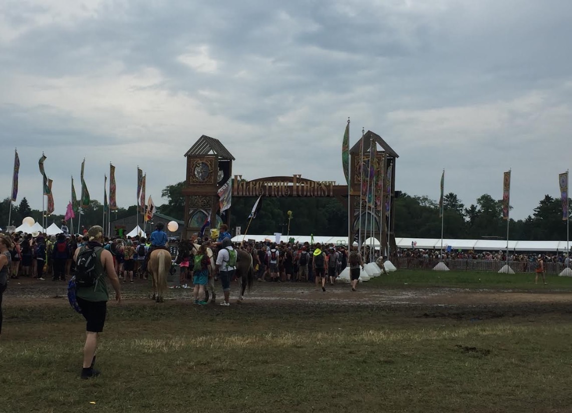 Lightning strike zaps out cell service at festival.
